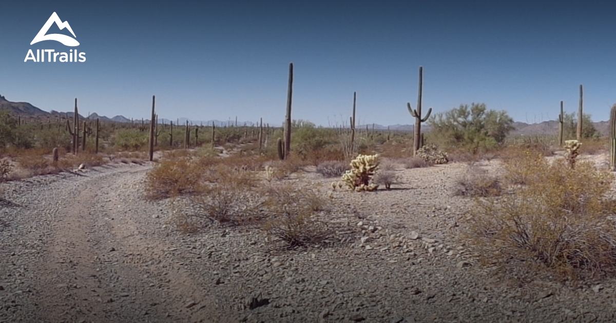 Best Trails near Gila Bend, Arizona AllTrails