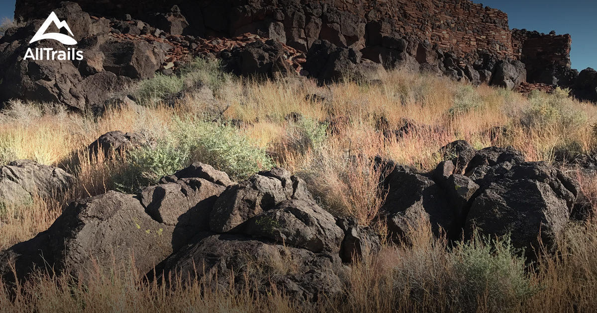 Best Hikes and Trails in Gray Mountain AllTrails