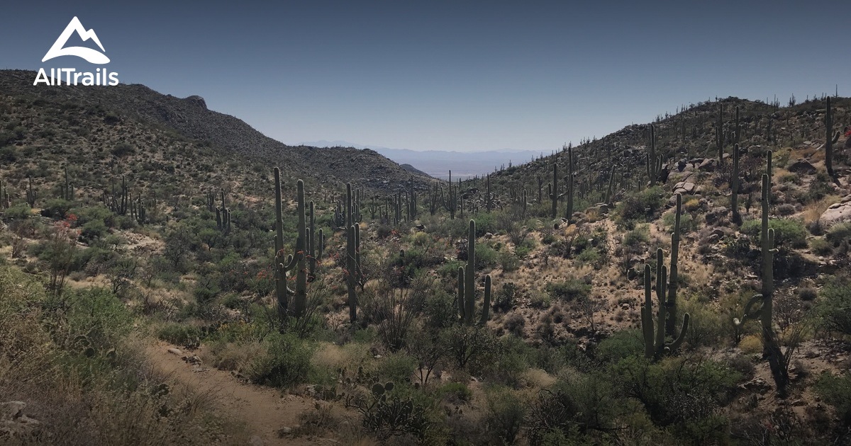 Best Trails near Marana, Arizona AllTrails