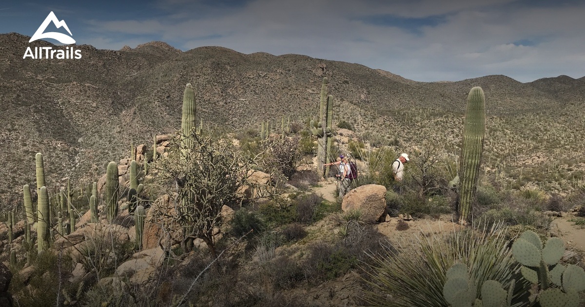 10 Best Trails And Hikes In Marana | AllTrails