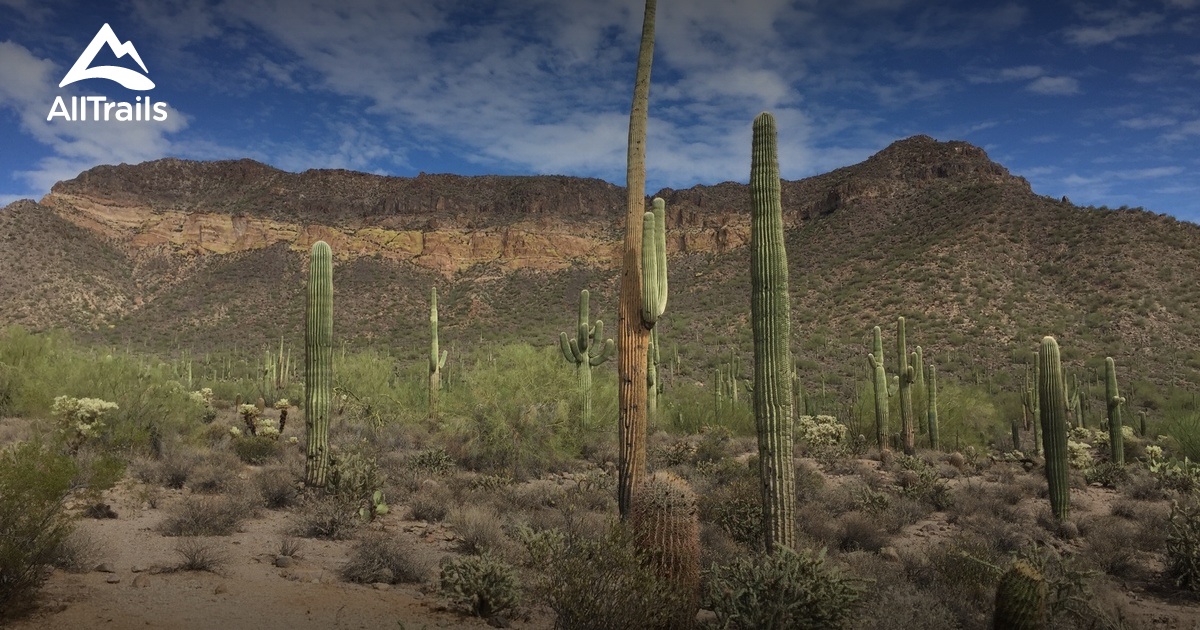 Best Trails near Mesa, Arizona AllTrails