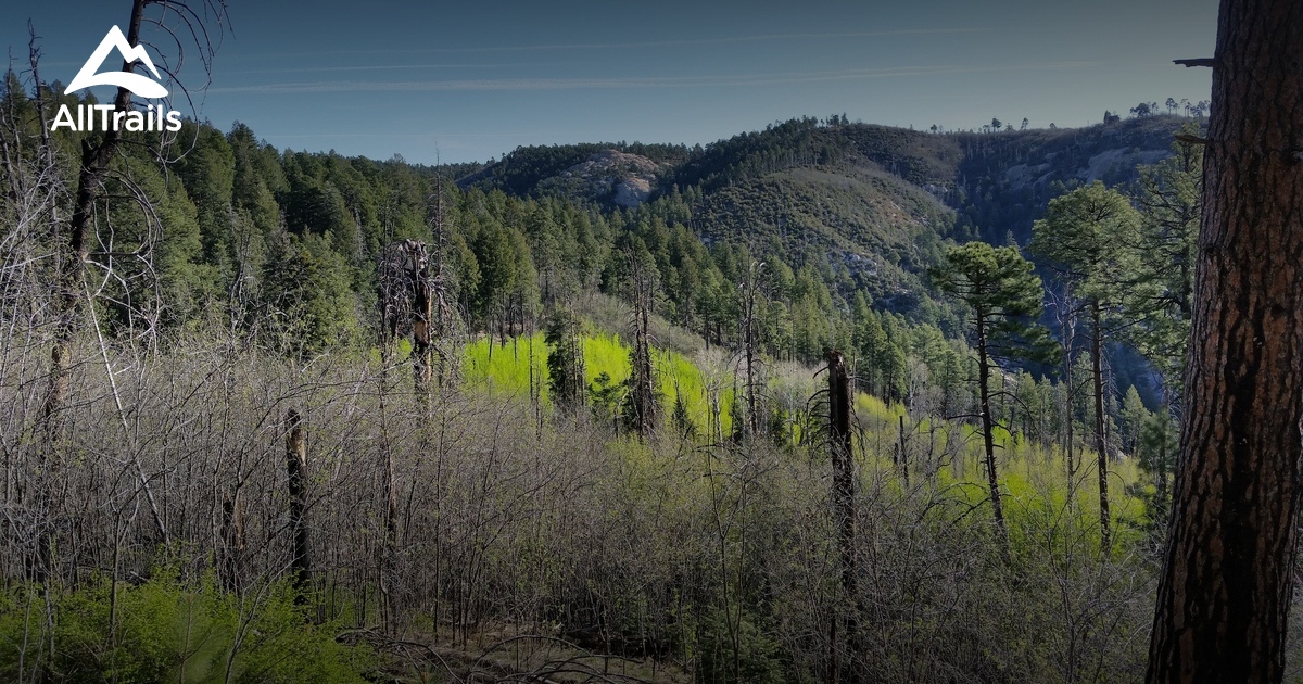 Best Trails near Mount Lemmon, Arizona AllTrails