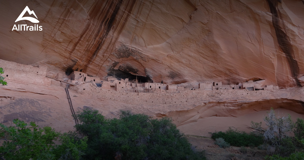 Best Camping Trails in Shonto AllTrails