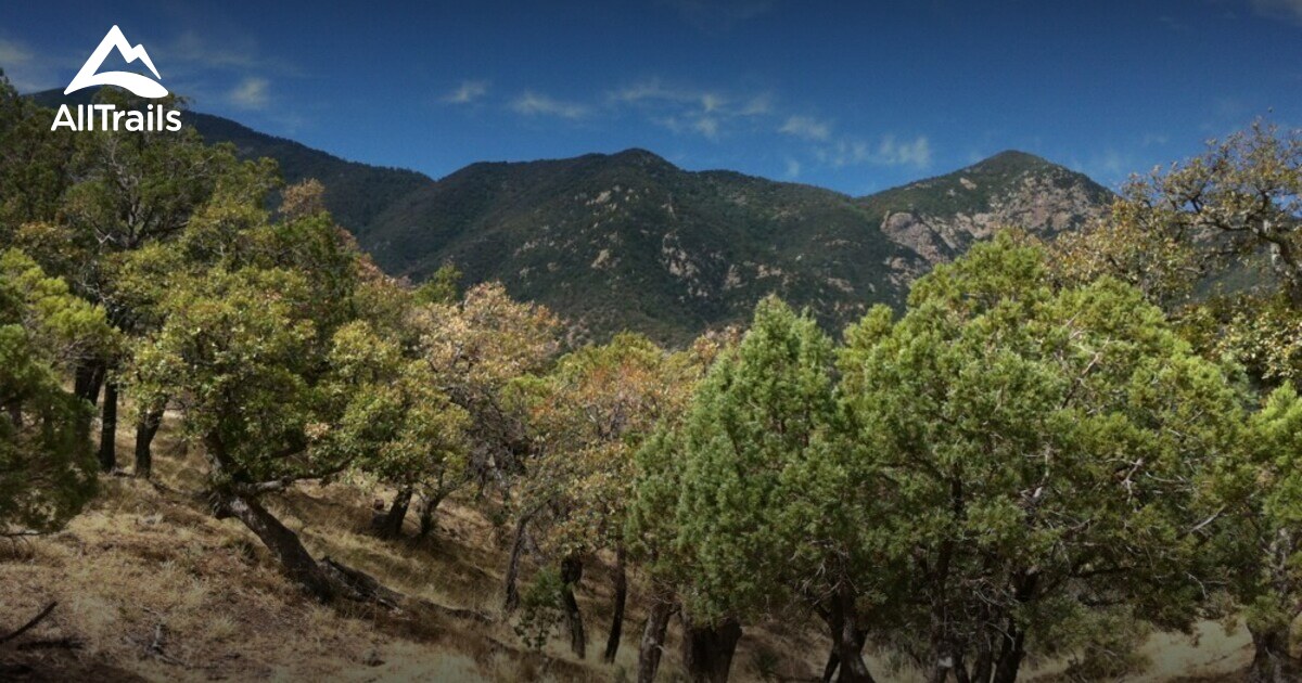 10 Best Trails and Hikes in Sonoita AllTrails