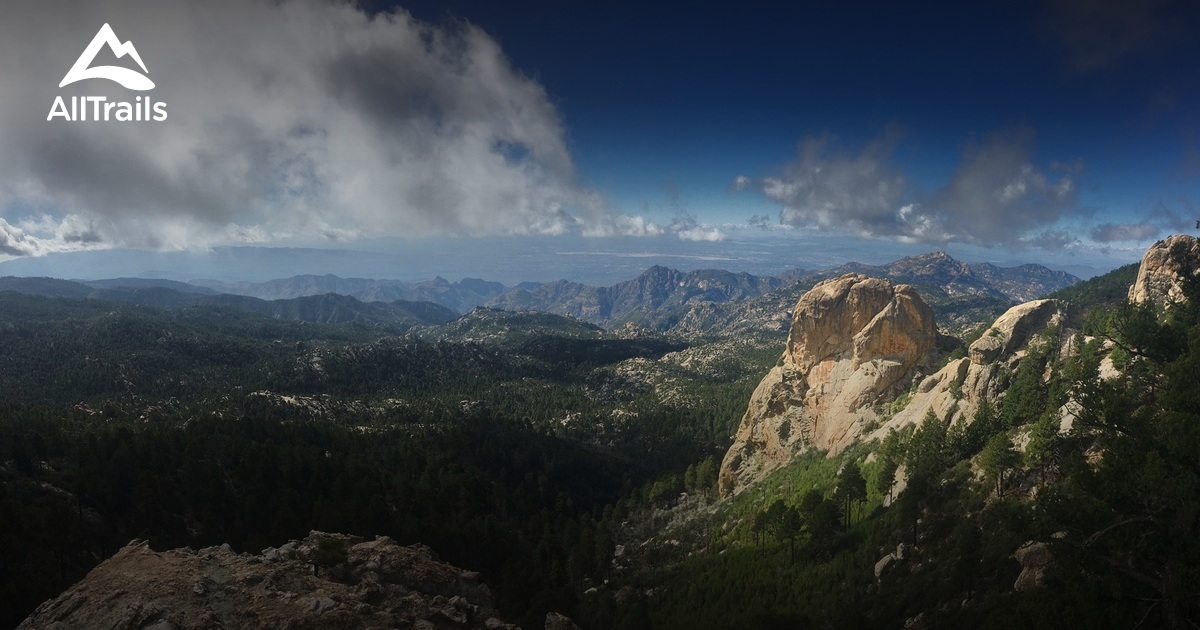 Best Trails near Summerhaven, Arizona AllTrails