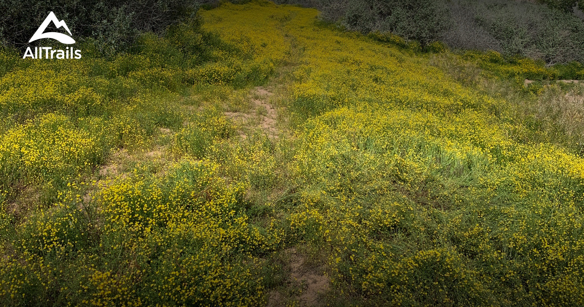 Best River Trails in Tolleson AllTrails