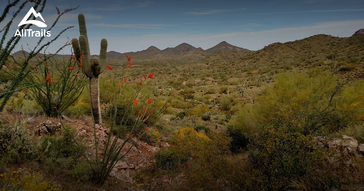 Best Trails near Wickenburg, Arizona AllTrails