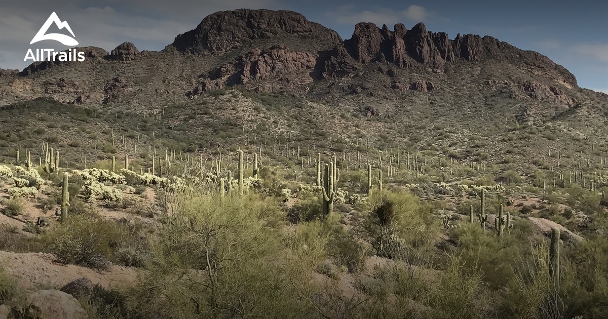 Best trails in Wickenburg, Arizona | AllTrails