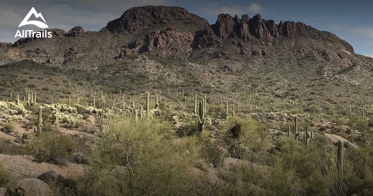 Best hikes and trails in Wickenburg AllTrails