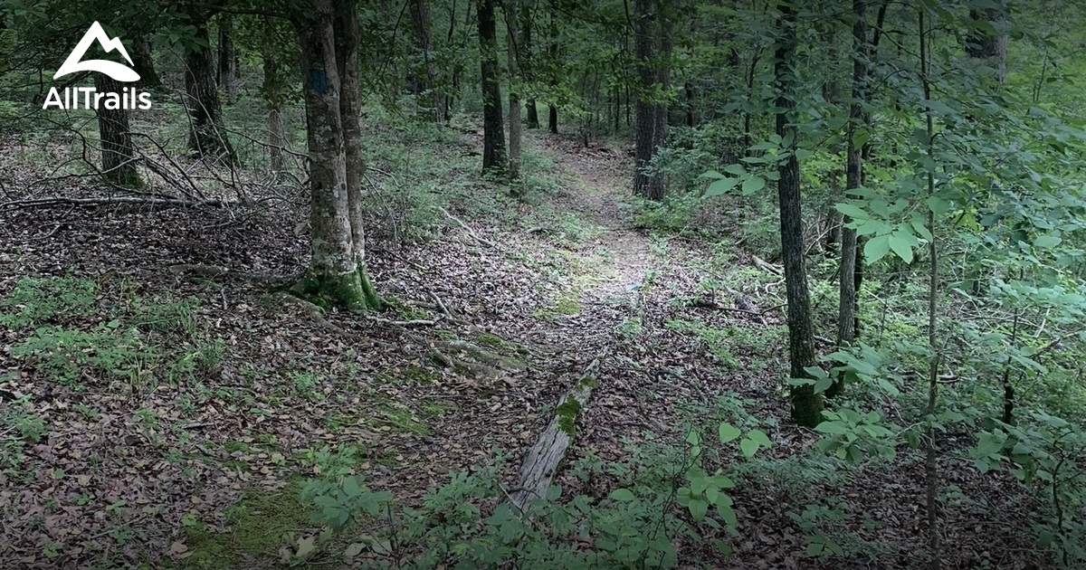 2023 Best Lake Trails in Dierks AllTrails