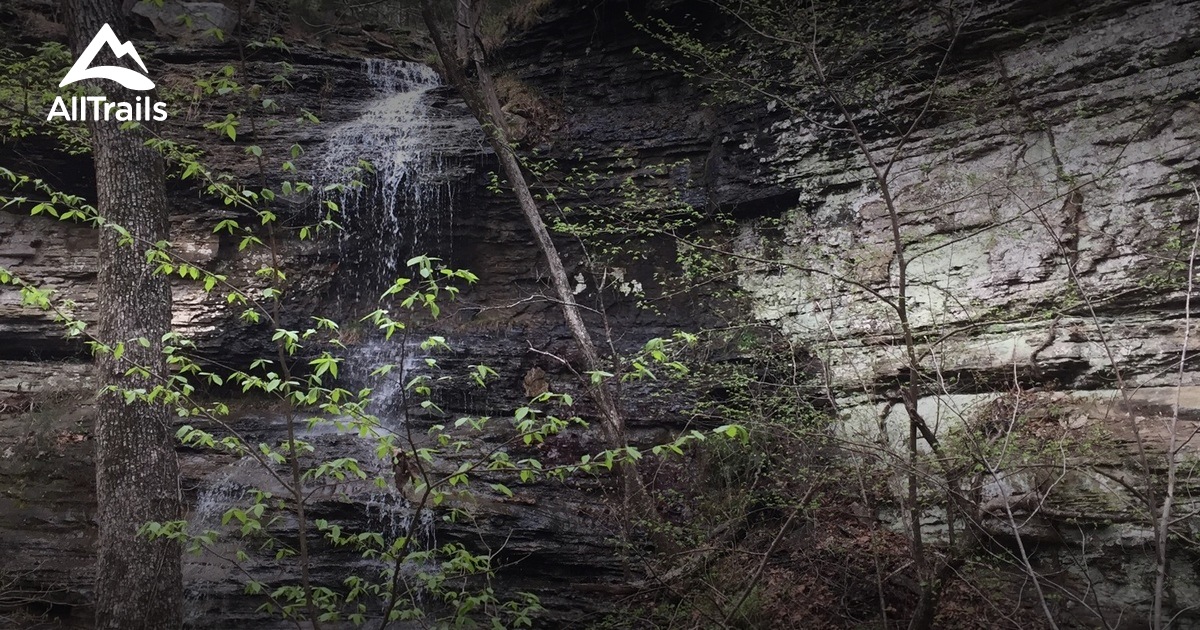 10 Best Trails and Hikes in Fairfield Bay AllTrails