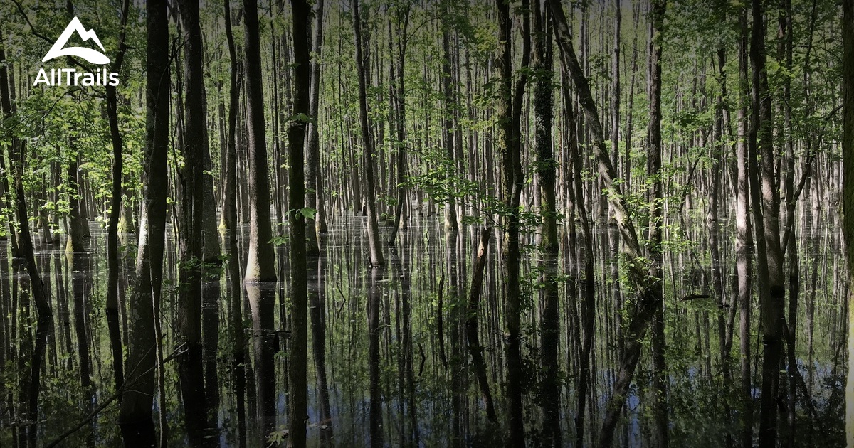 Best Hikes and Trails in Holly Grove AllTrails