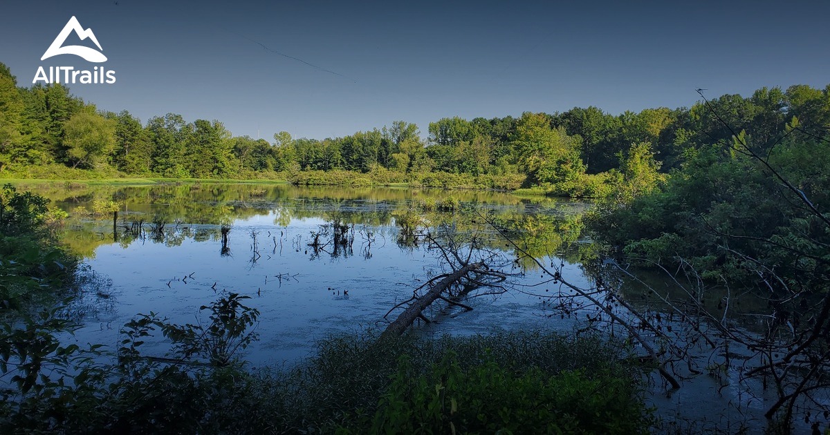 10 Best trails and hikes in Russellville AllTrails