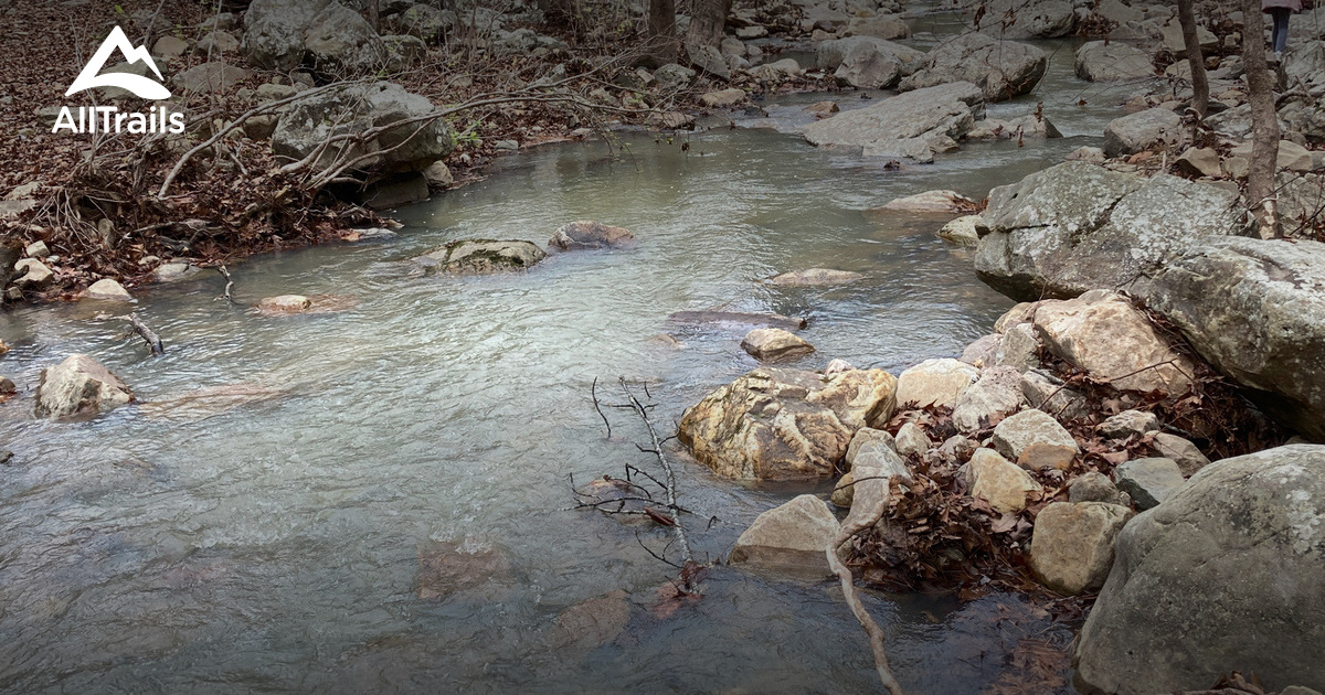 Best Forest Trails in Waldron AllTrails