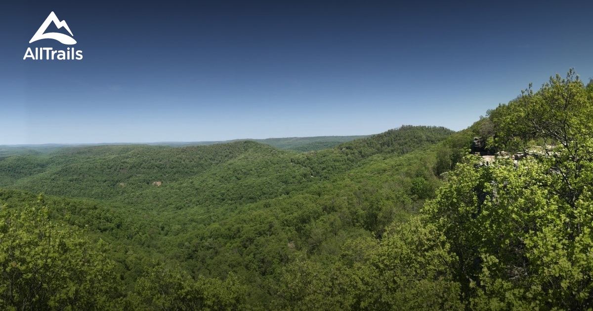 10 Best Trails and Hikes in Winslow AllTrails