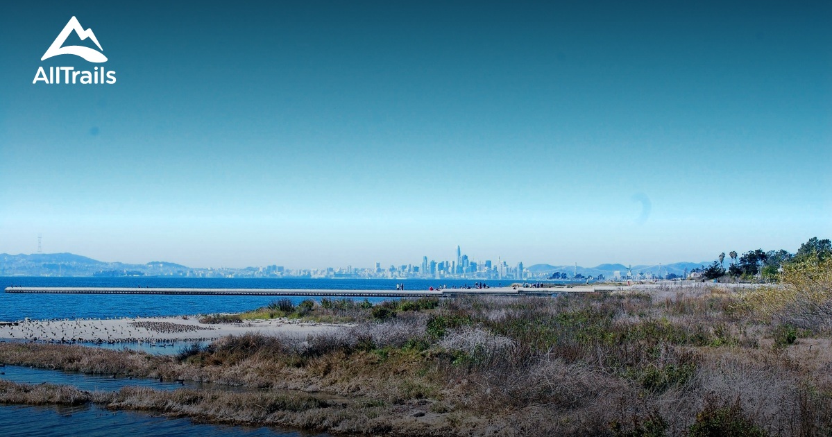 Tsunami alert near alameda ca