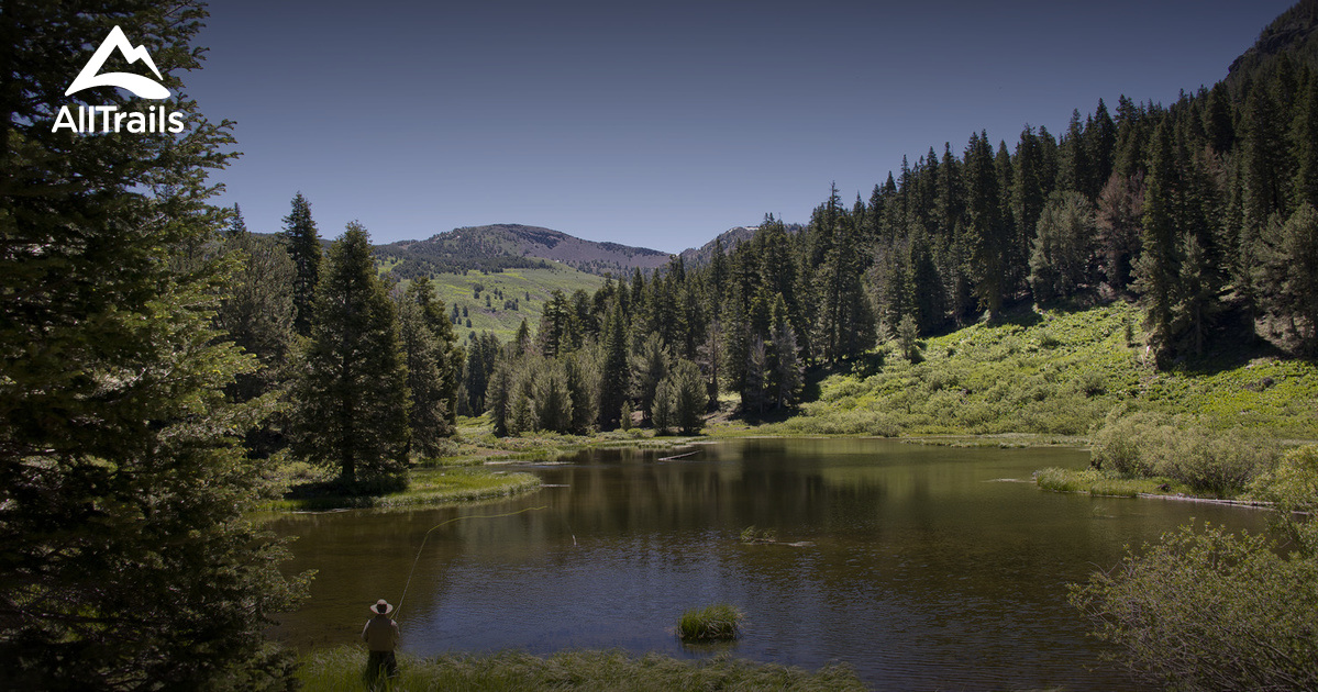 Best Trails near Alturas, California