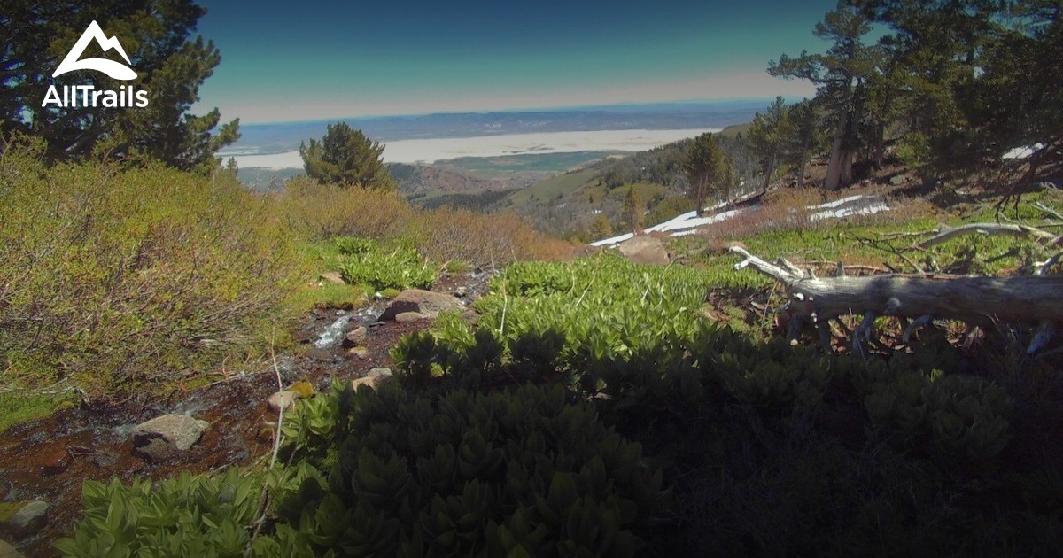 Best Trails near Alturas, California AllTrails