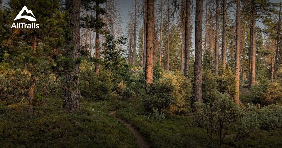 Best Hikes and Trails in Avery AllTrails