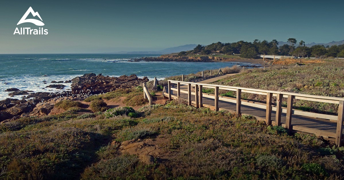 Best Trails near Cambria California 105 Photos & 112 Reviews