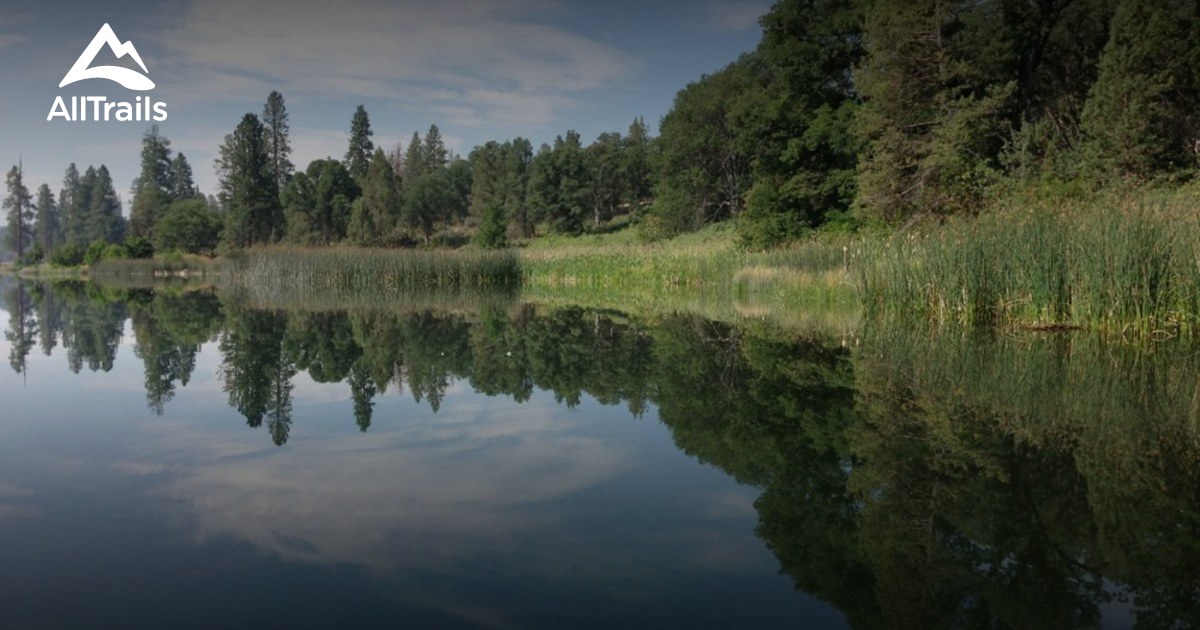 Best Trails near Cassel, California AllTrails