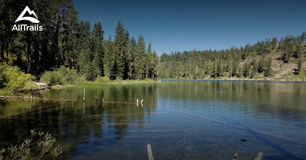 Best Trails near Clio, California AllTrails