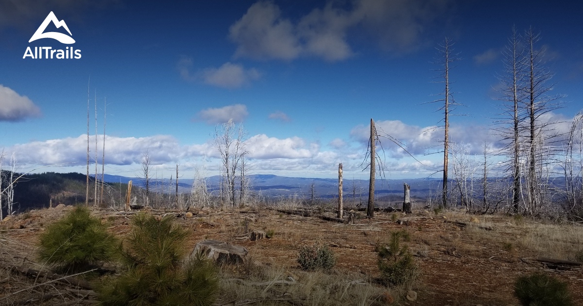 Best Camping Trails in Cobb AllTrails