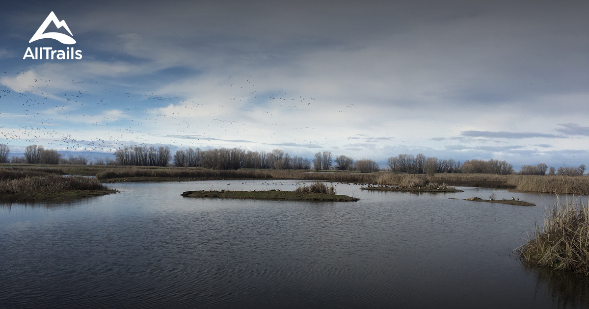 Best Hikes and Trails in Colusa AllTrails