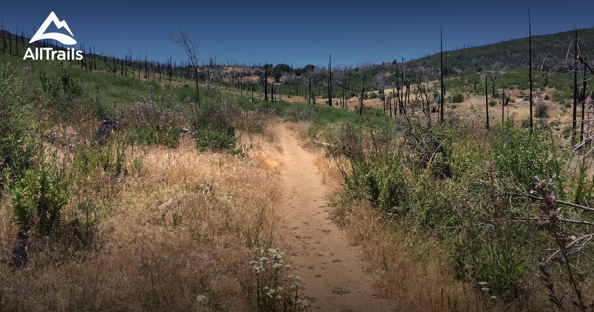 Best Trails near Descanso, California AllTrails