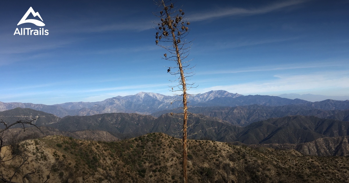 Best Hikes and Trails in Duarte AllTrails