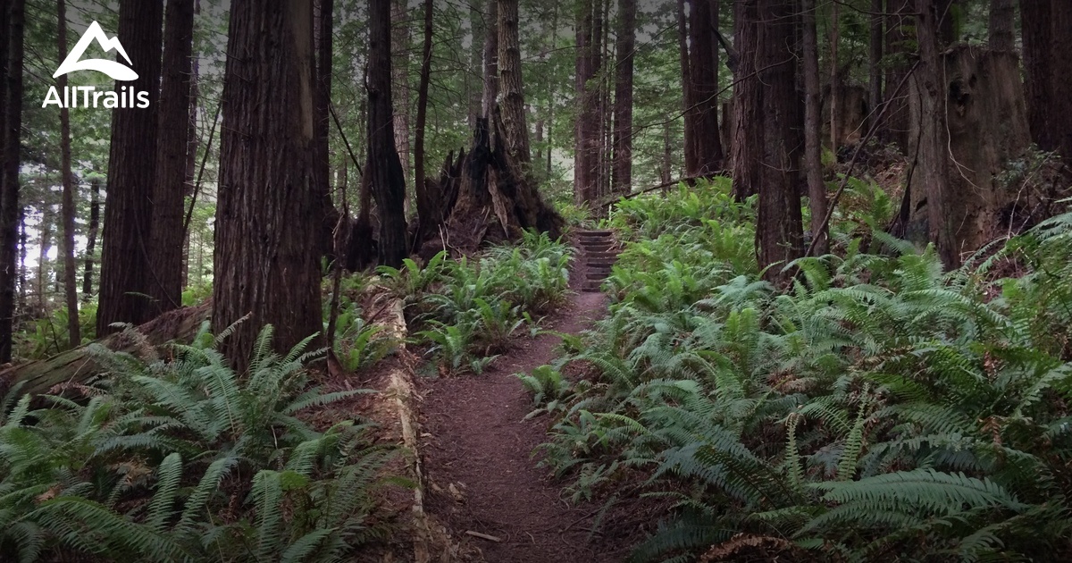 10 Best trails and hikes in Eureka | AllTrails