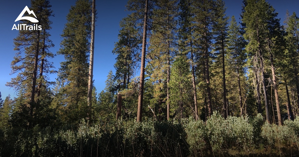 best-trails-near-grizzly-flats-california-alltrails