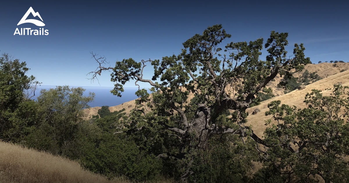 Best Trails near Jolon, California AllTrails