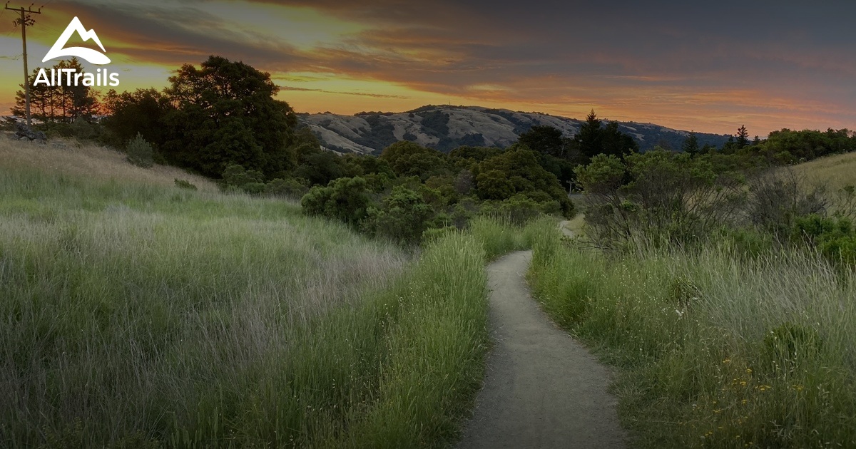 Best Trails near La Honda, California AllTrails