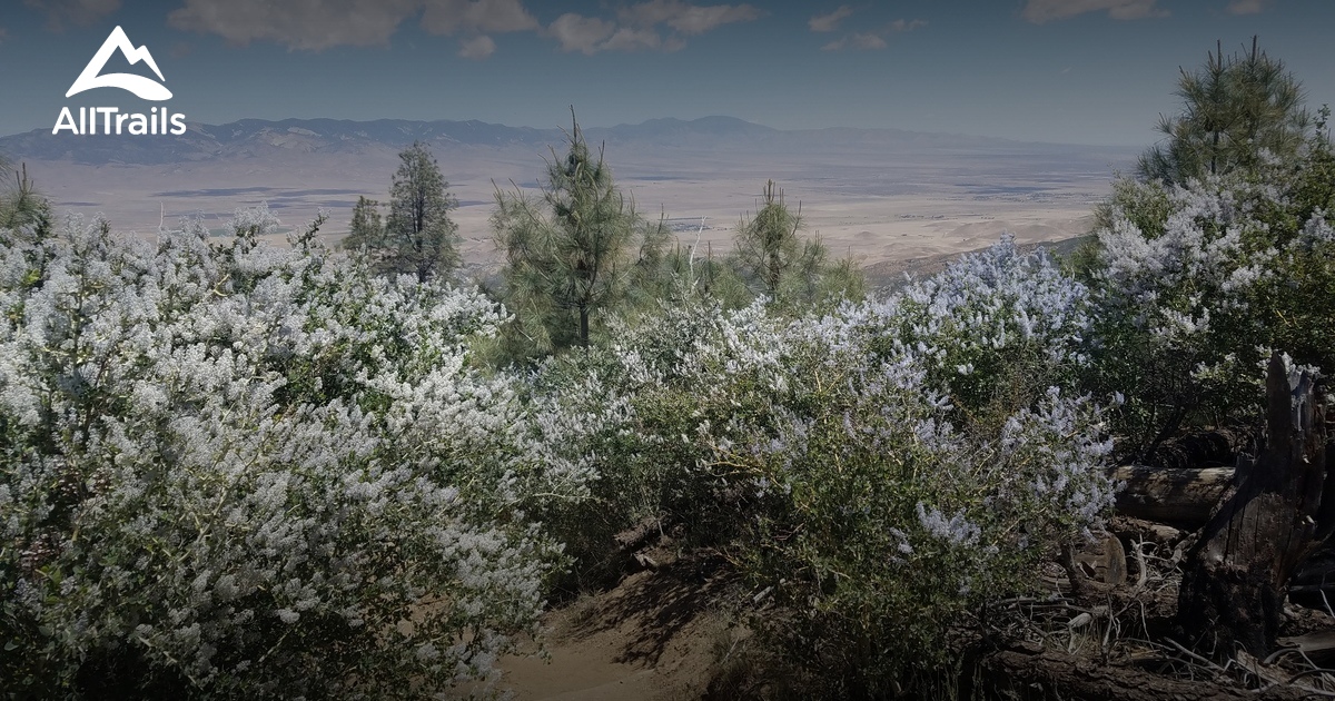 Best Trails near Lake Hughes, California AllTrails