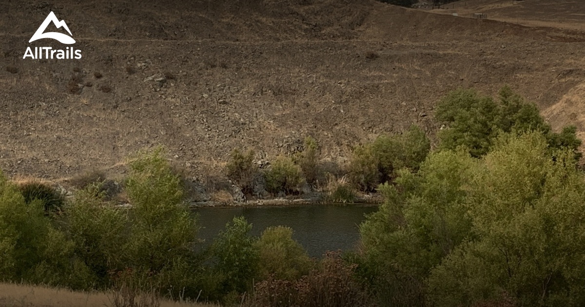 Best Hikes and Trails in Lemon Cove AllTrails