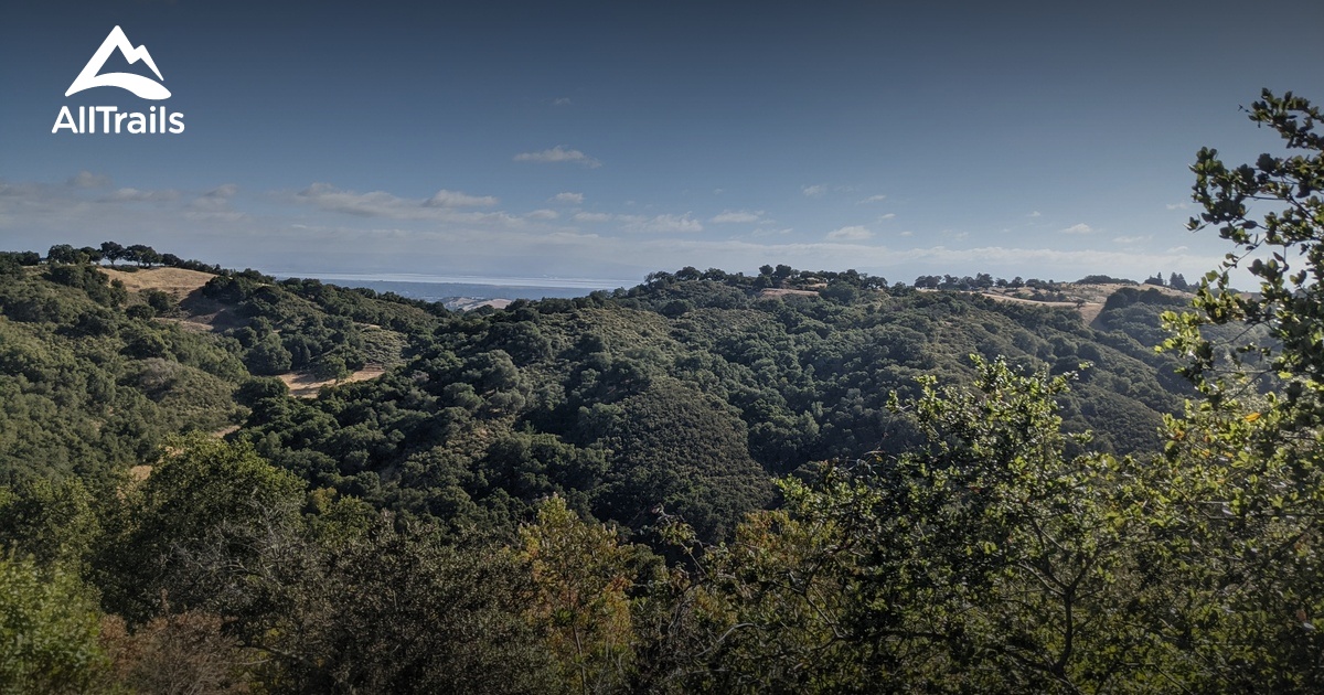 10 Best Trails And Hikes In Los Altos Hills | AllTrails