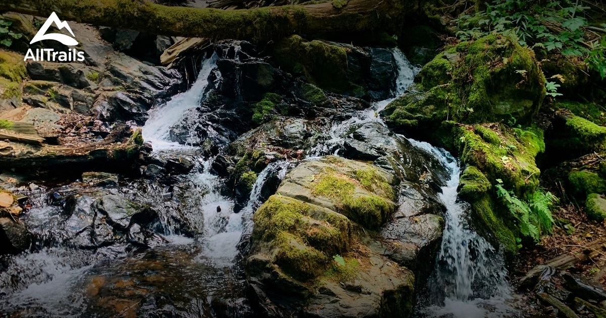 Best Trails near Magalia, California AllTrails