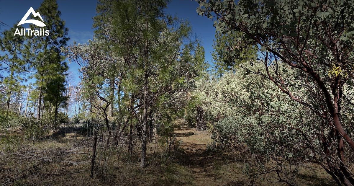 Best Hikes and Trails in Meadow Vista AllTrails