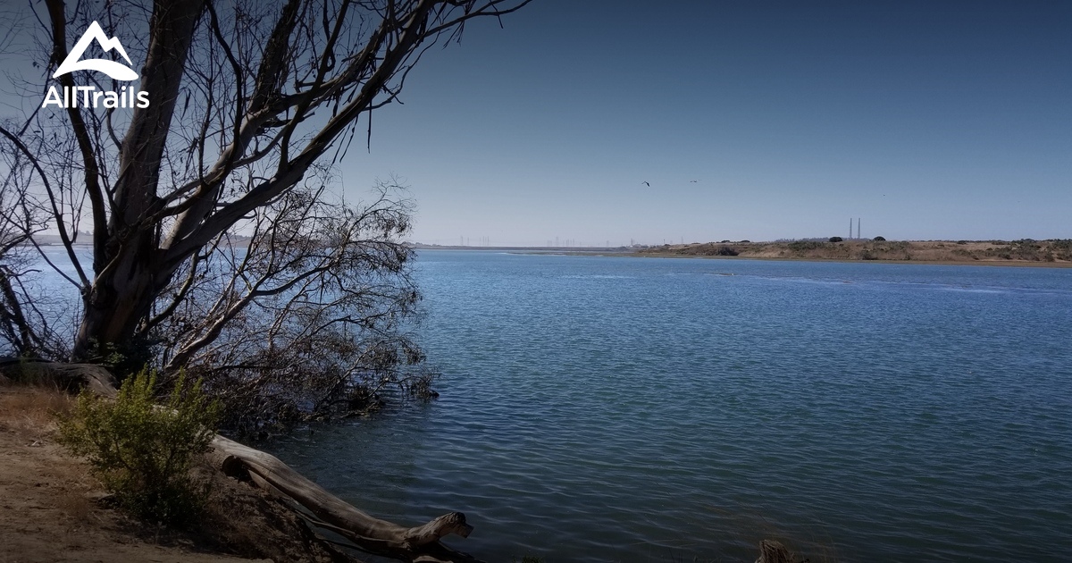 Best Hikes and Trails in Moss Landing AllTrails