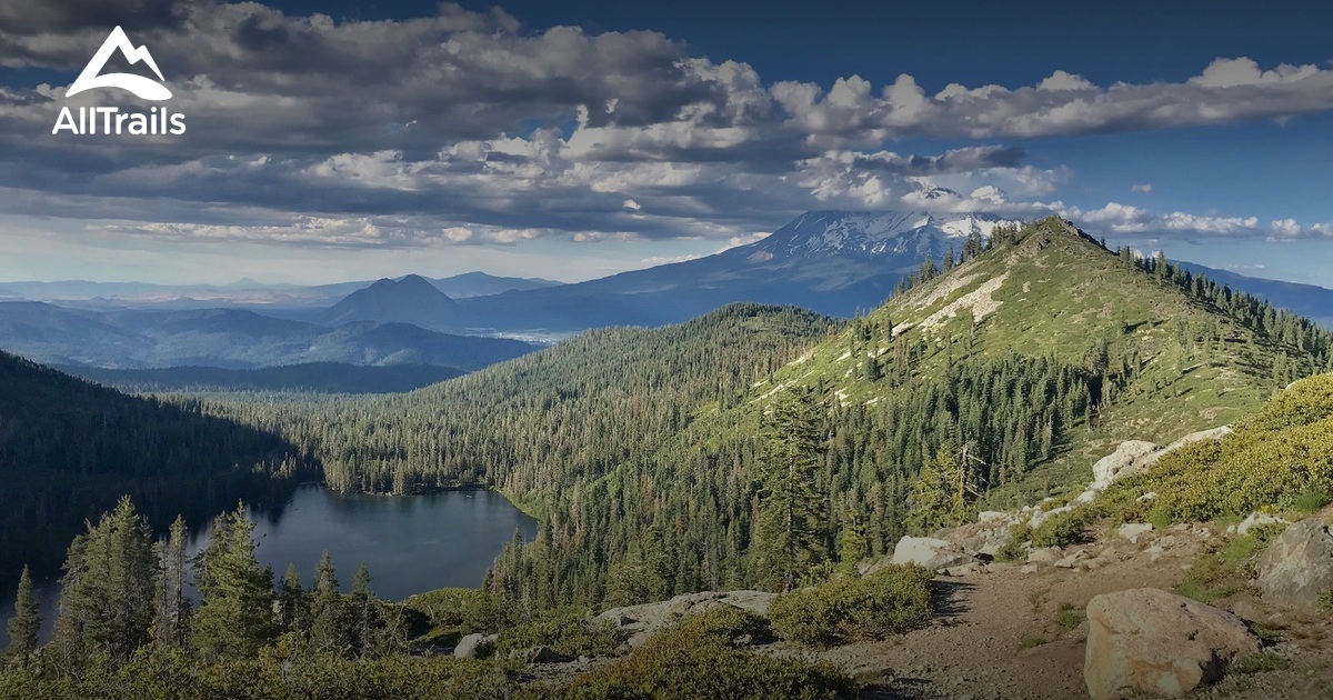 are dogs allowed in mount shasta