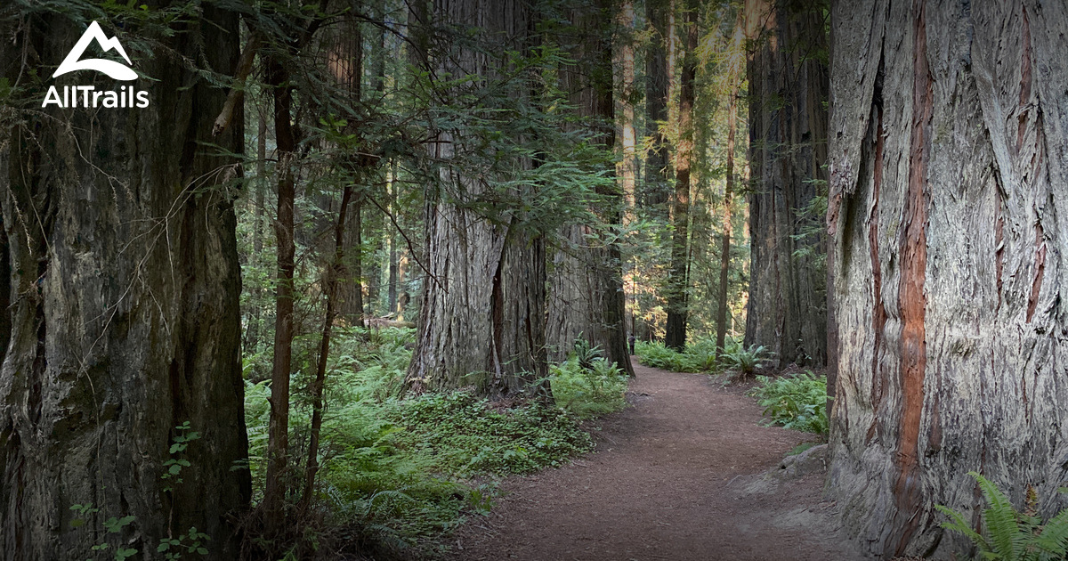 Best Camping Trails in Myers Flat AllTrails