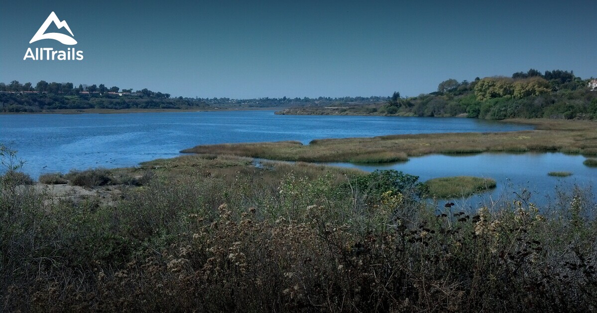 se permiten perros en newport back bay