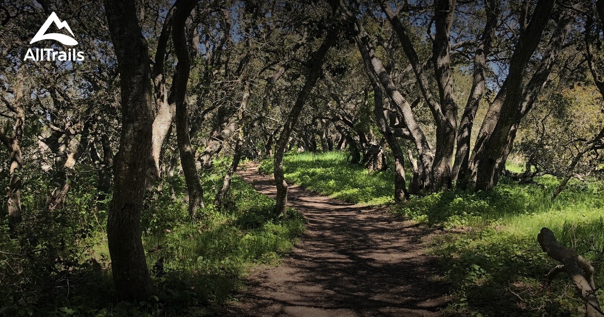 10 Best Trails and Hikes in Petaluma | AllTrails