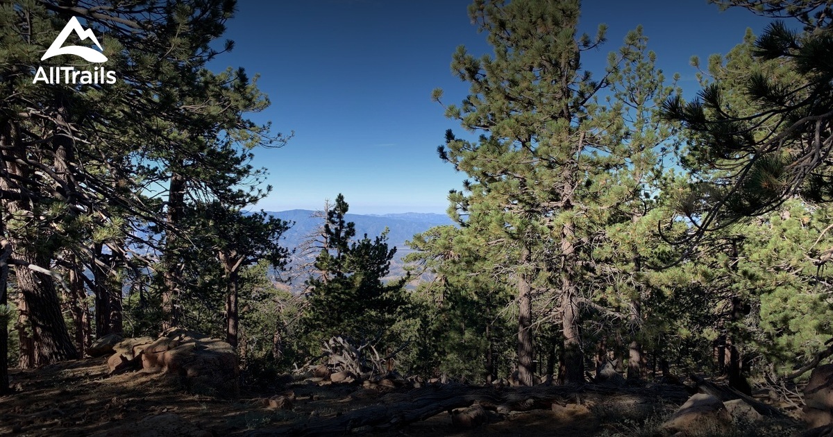 Best Trails near Pine Mountain Club, California | AllTrails