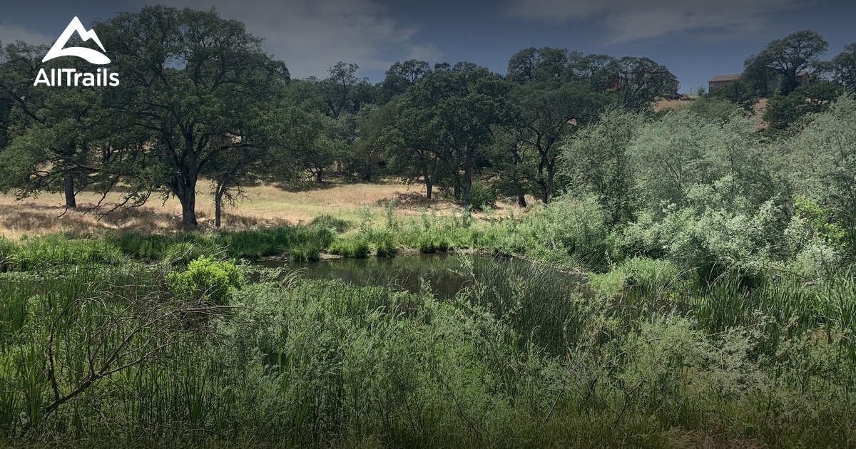 10 Best Trails and Hikes in Roseville AllTrails