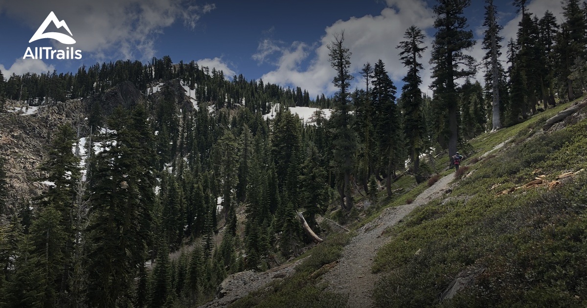 10 Best Trails and Hikes in Sierra City AllTrails