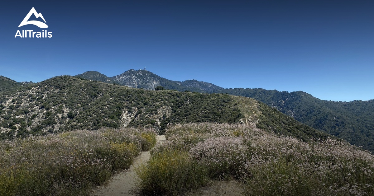 sierra madre mountains