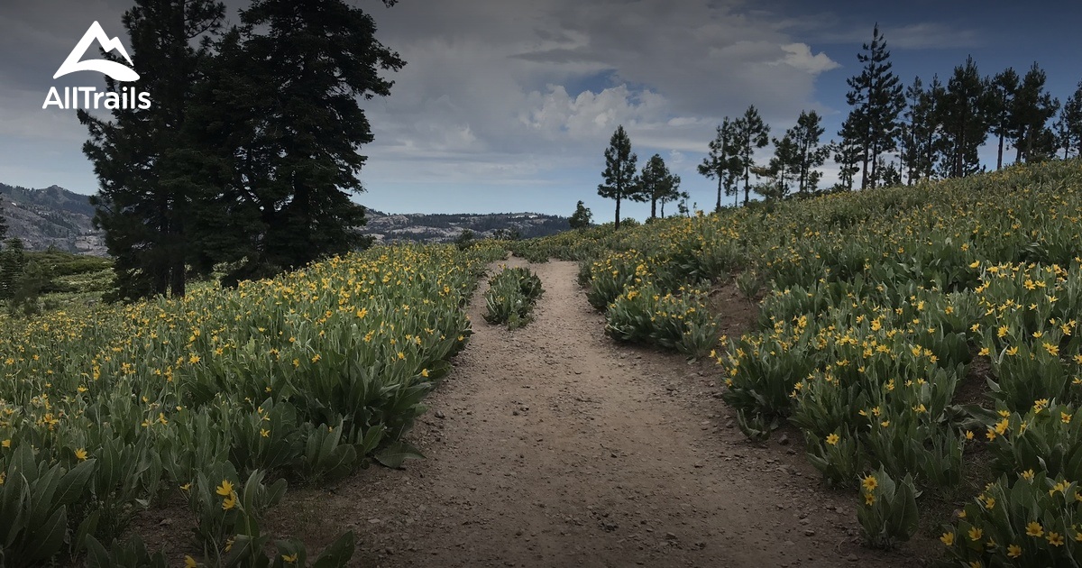 Best Trails near Truckee, California AllTrails