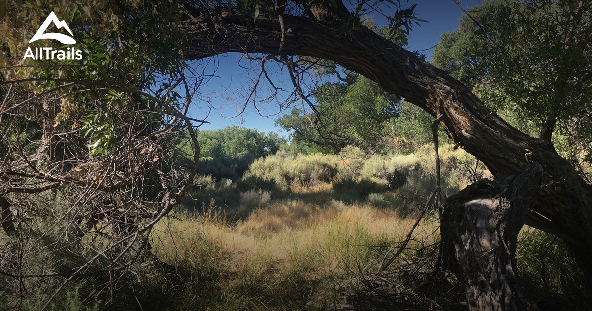 Best Hikes and Trails in Victorville AllTrails